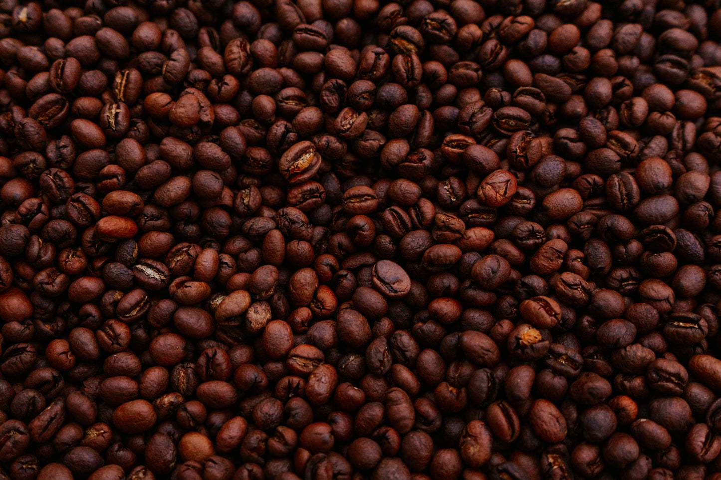 Brazil Jazblu Peaberry